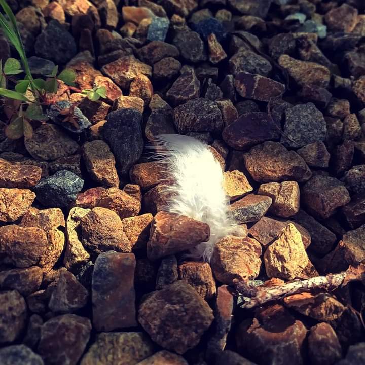 Sandrine Lorans tweet media