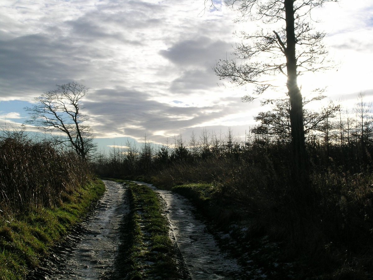 Photography Phil tweet media