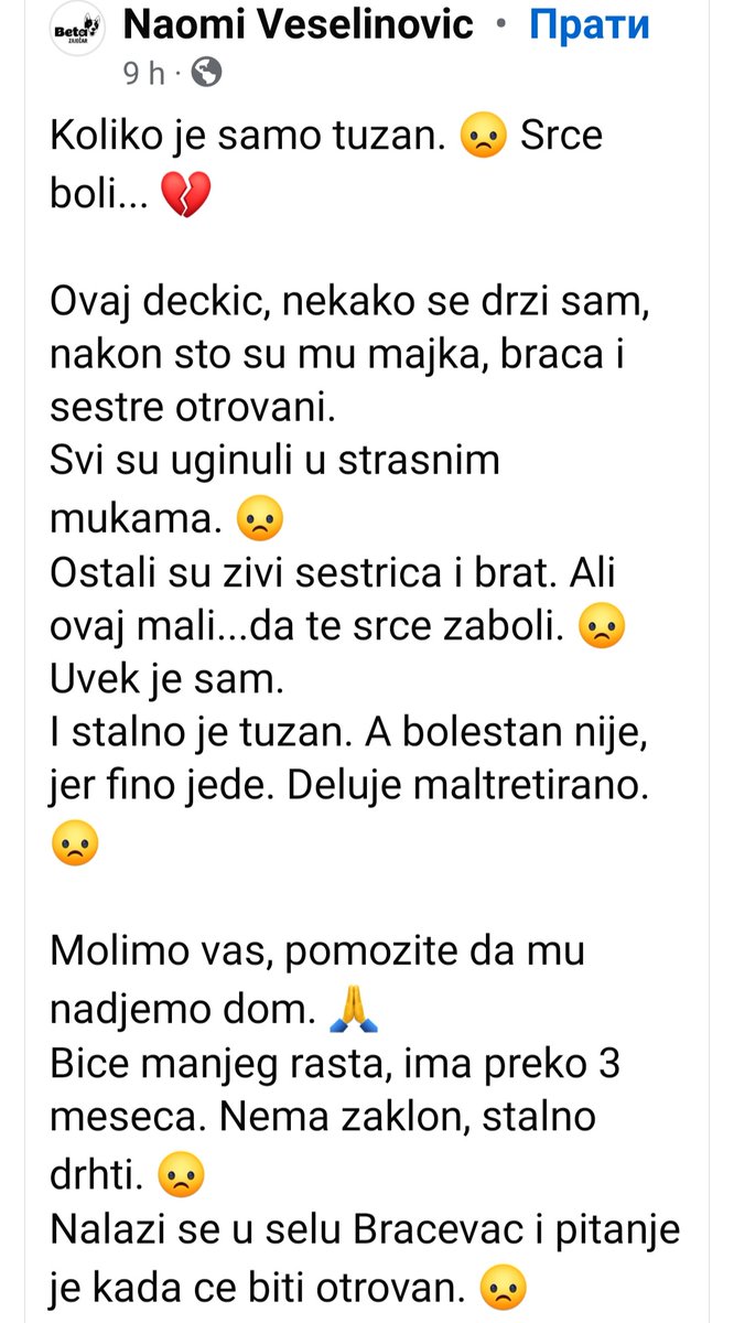 Hitno pitrebna pomoć! 
Sladak mužijačić 💙Život mu je na ulici ugrožen!❗❗❗
Kontakt na FB-u: Naomi Veselinovic...