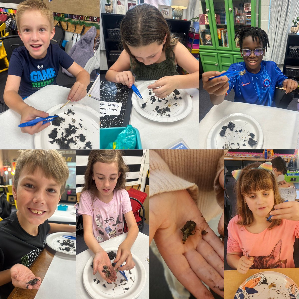 Exploring the mysterious world of owls! Our 4th Grade Dragons dissected owl pellets to uncover the secrets of their diets. From tiny bones to fur, they learned all about what owls eat and turned their discoveries into exciting expository writing. Now that’s hands-on learning! 🔍