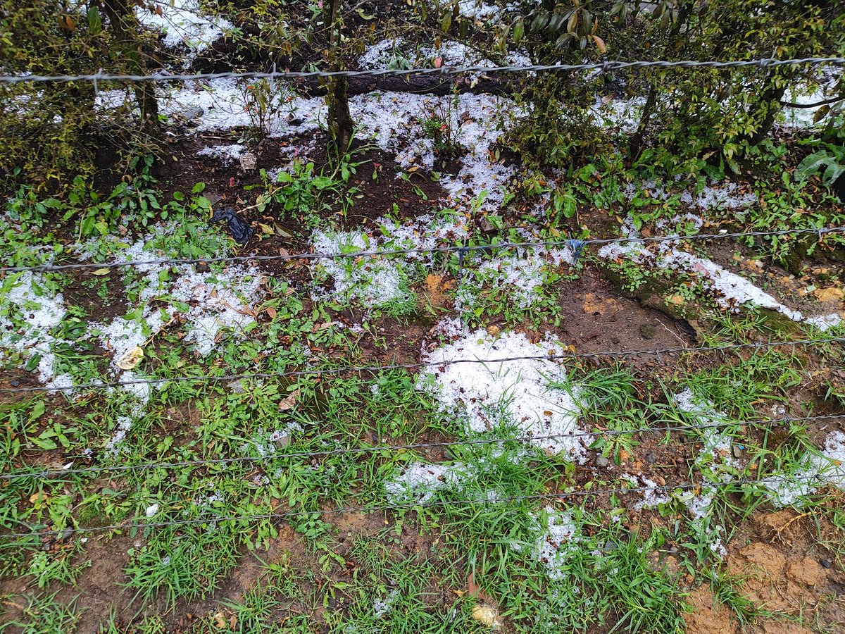 level_666's tweet image. Tremenda granizada en Santa Elena