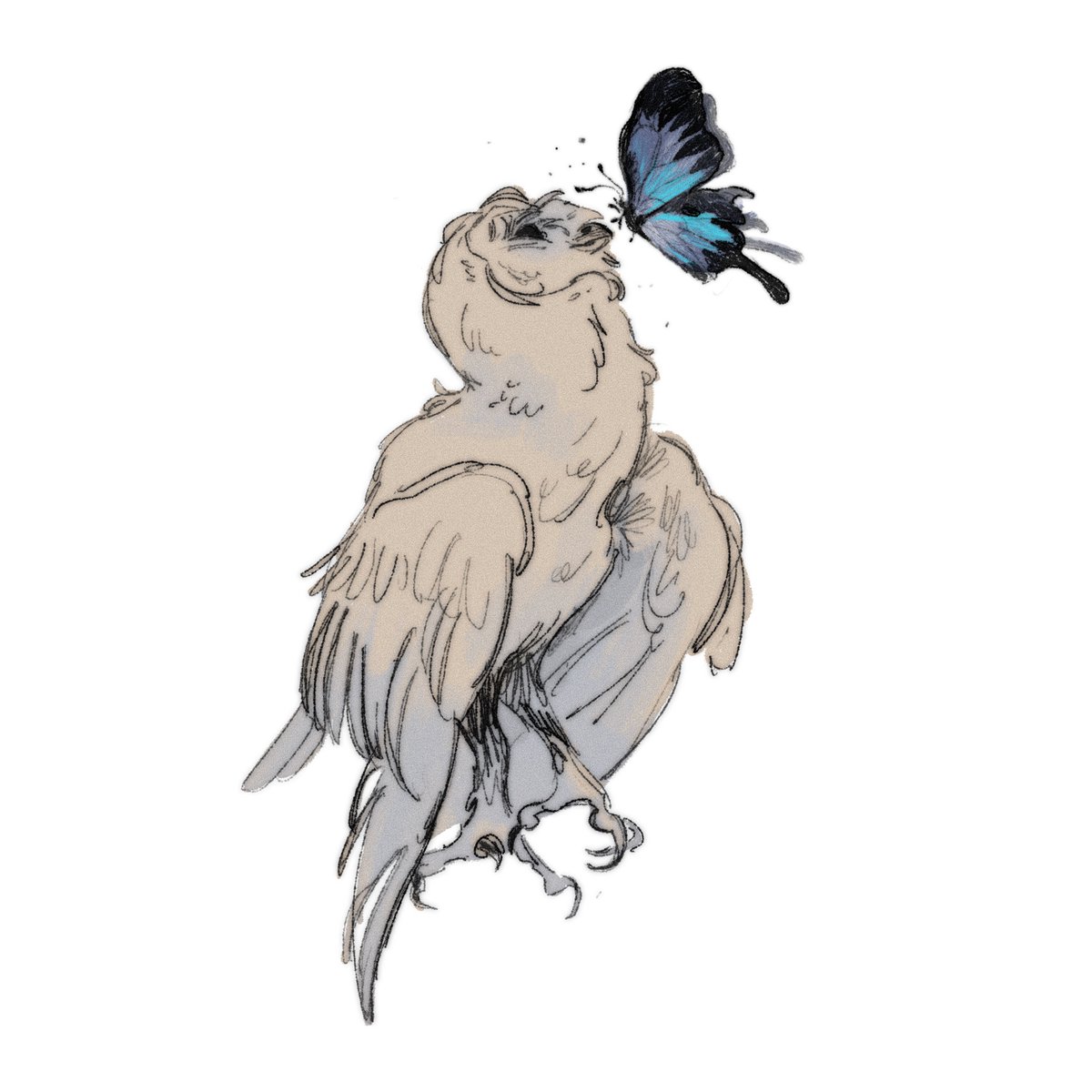 owlbabe (moved 🦋) tweet media