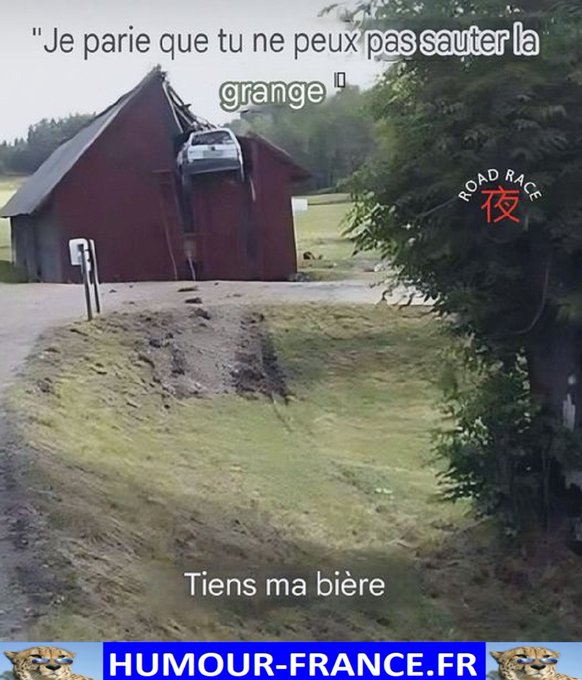 text alternatif
