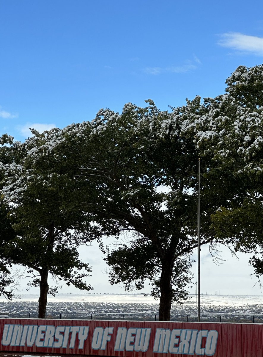 UNM Softball tweet media