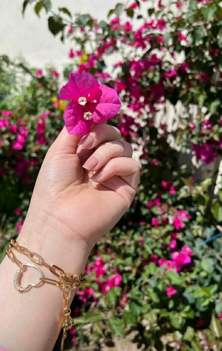 تفائل خيراً فرب الخير لايأتي إلا بالخير ❤️