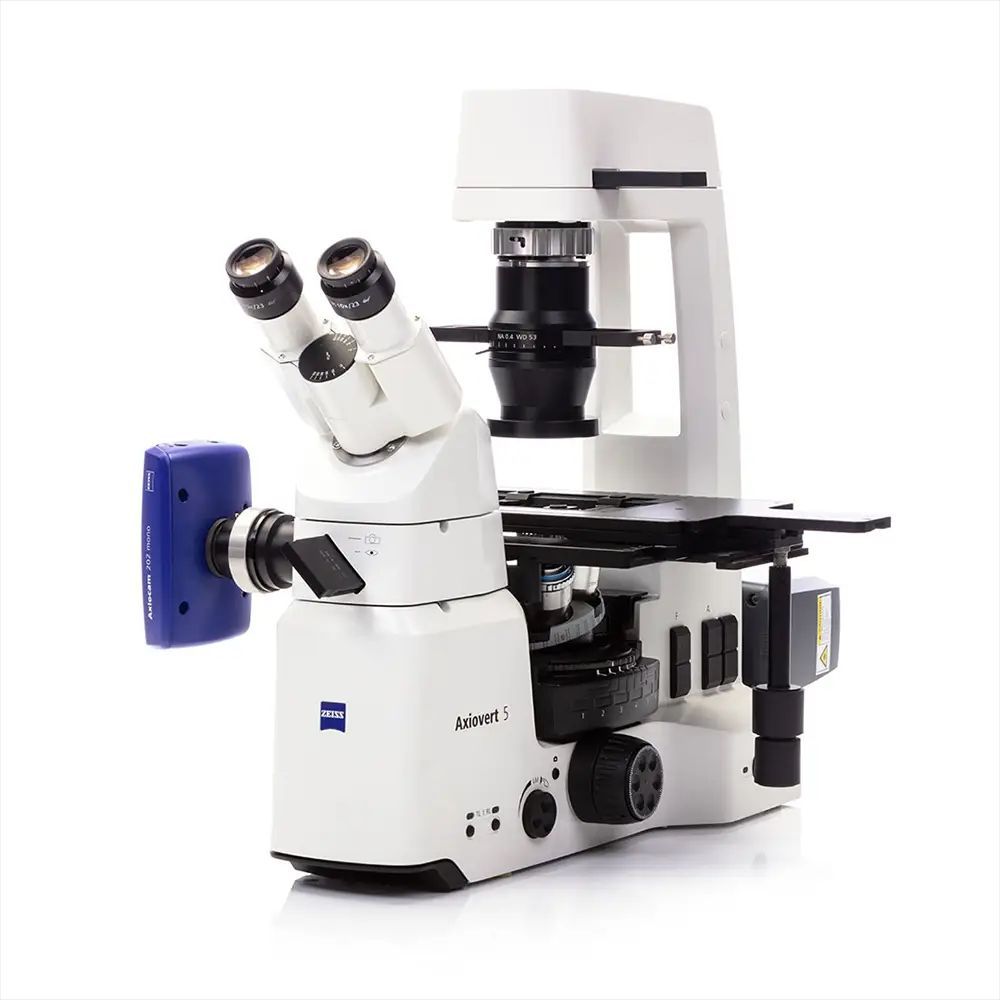 WNuhsbaum's tweet image. Meet the ZEISS Axiovert 5! 🔬 A smart microscope for biology and cell culture labs, with intuitive “Snap” imaging and multichannel fluorescence.

👉 Contact Nuhsbaum to order! buff.ly/3C94Rup

#Axiovert5 #ZEISS #SmartMicroscopy #BiologyResearch #Nuhsbaum