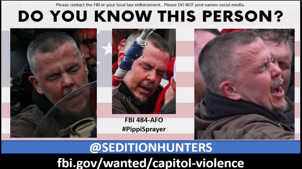 SeditionHunters (@seditionhunters) on Twitter photo Please share across all platforms. Do you Know this man?? #PippiSprayer Please contact the FBI with 484-AFO tips.fbi.gov or contact us at admin@seditionhunters.org #DoyouKnow Please share across all platforms. Do you Know this man?? #PippiSprayer Please contact the FBI with 484-AFO tips.fbi.gov or contact us at admin@seditionhunters.org #DoyouKnow