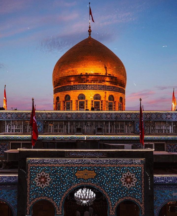 HabibHaider_'s tweet photo. Congratulations on the arrival anniversary of Sayeda Zainab (SA) 💚💐 https://t.co/J4hRf4rKCs