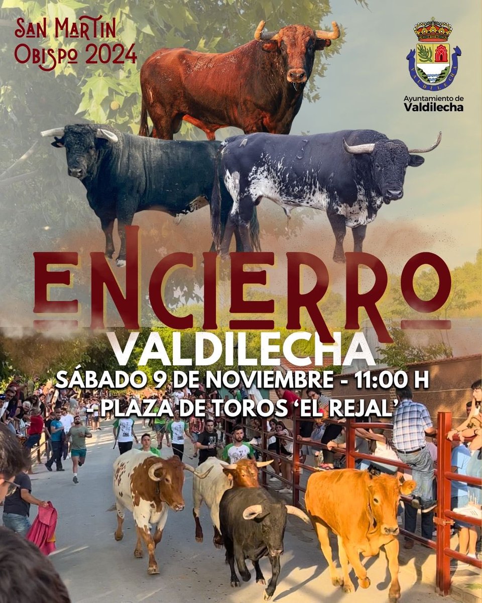 🐂 SÁBADO 9 DE NOVIEMBRE, TOROS EN VALDILECHA 

Este sábado 9 de noviembre, la plaza de toros de El Rejal, acogerá a las 11:00 horas el tradicional encierro de San Martín Obispo, patrón de nuestro pueblo, donde al finalizar tendrá lugar la capea.