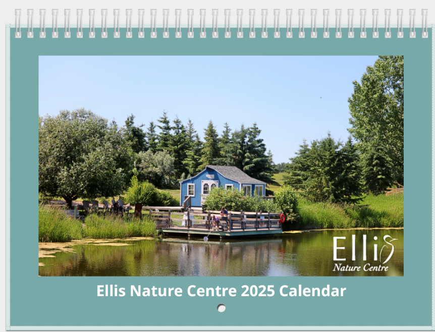 EllisNatCentre's tweet photo. We still have 2025 calendars for sale! They feature 13 stunning photos of our site, birds, bugs, farm animals &amp; more. All photos were taken by visitors or our staff and bring ENC right to your home. All $35 from each sale comes straight back to us. Order: https://t.co/MxebXl3shG https://t.co/jpOk7PZyPc