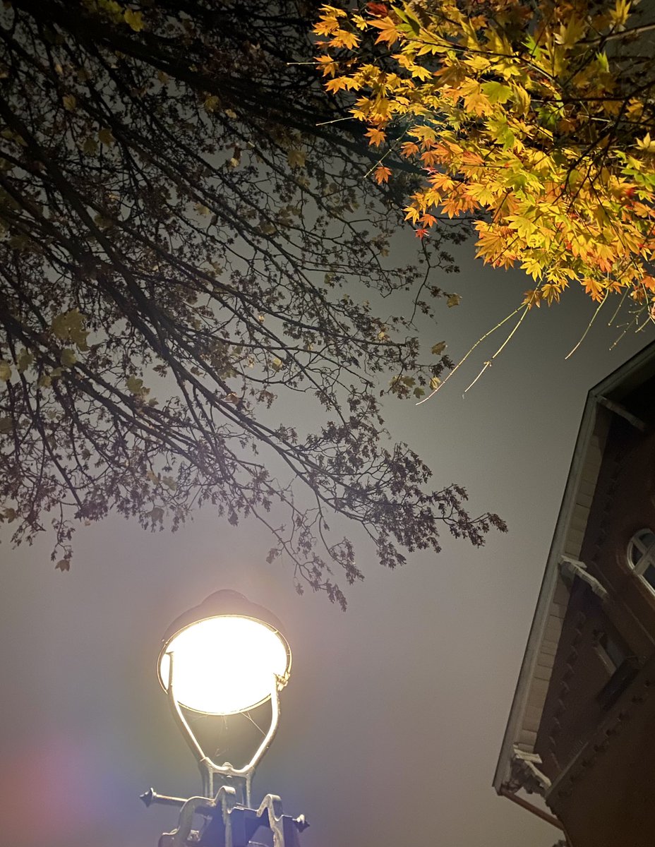 Auf dem Heimweg 🍂✨

#wuppertal