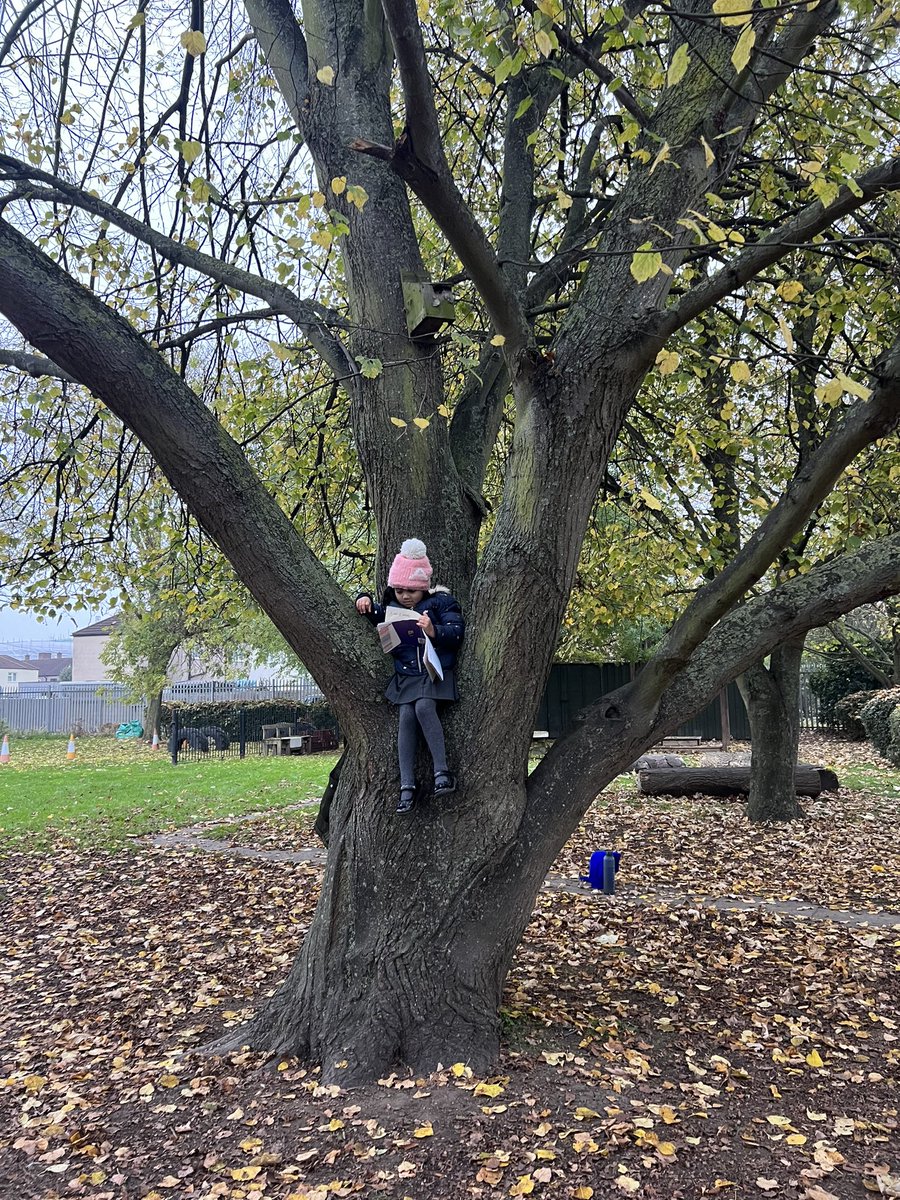 pritin (@pritin14) on Twitter photo "Branching out with a good book! ๐ณ๐ Our little adventurer is taking reading to new heights! #ExtremeReadingChallenge #BookwormInTheWild"
Hereโs lil A doing some extreme reading !!
#extremereading <a href="/RofiyaTVI/">Rofiya Begum</a> <a href="/SamTVI1/">@SamTVI</a> <a href="/AdamDobsonTVI/">Adam Dobson</a> <a href="/TVInfants/">Thames View Infants</a> u a "Branching out with a good book! ๐ณ๐ Our little adventurer is taking reading to new heights! #ExtremeReadingChallenge #BookwormInTheWild"
Hereโs lil A doing some extreme reading !!
#extremereading <a href="/RofiyaTVI/">Rofiya Begum</a> <a href="/SamTVI1/">@SamTVI</a> <a href="/AdamDobsonTVI/">Adam Dobson</a> <a href="/TVInfants/">Thames View Infants</a> u a