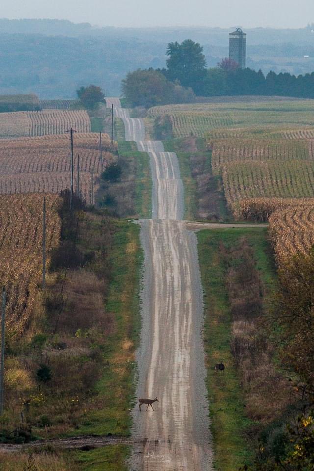 midwestern_ope's tweet photo. There’s two types of Midwesterners https://t.co/gptRC6c9WM