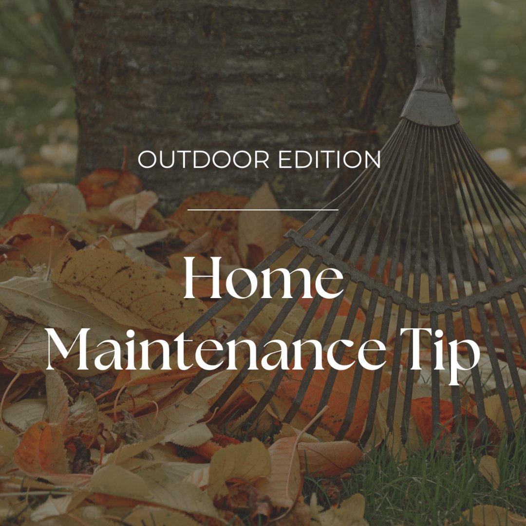 HelloProjectUSA's tweet image. Keep your yard looking great with regular leaf removal! 🍂 Rake often to boost curb appeal &amp;amp; prevent lawn damage this fall. 

#FallTips #HomeCare #HomeImprovement #LawnTips #fall #homemaintenance #hometips  #fallseason #homecleaningtips #autumn