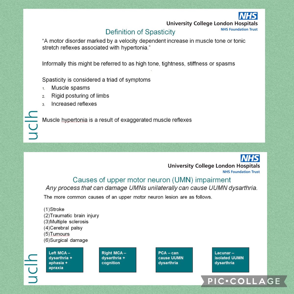 Jodi Allen tweet media
