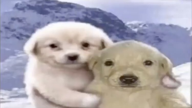 what a funny little account. sorry for the rt's, i'm just taking a stroll through the memories and the countless amount of times that vegas pro crashed on me. stay safe out there.😁👍