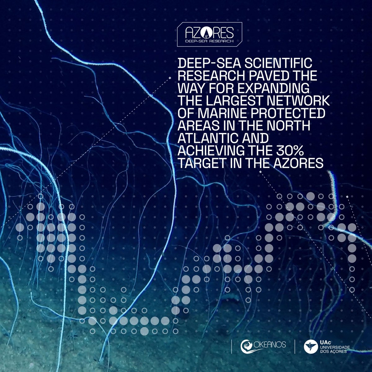 Azores Deep-Sea Research tweet media