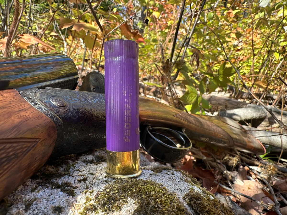 FederalPremium's tweet photo. Are you a fan of the purple hulls? #ItsFederalSeason #16ga https://t.co/bNewdyA1FL