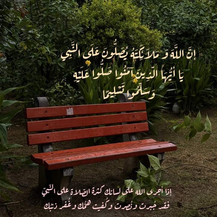 نُسَيبة (@nosaibayoussef) on Twitter photo 