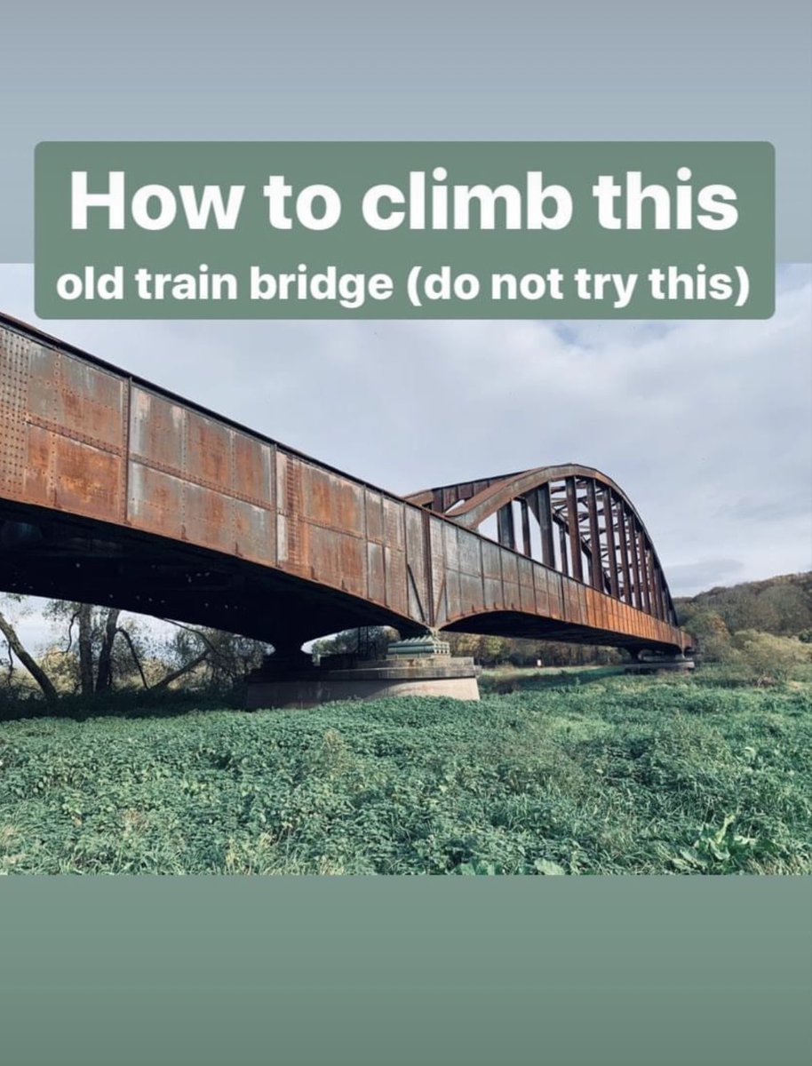 Sebastian Baumer 🍃 tweet media