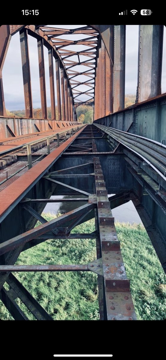 Sebastian Baumer 🍃 tweet media