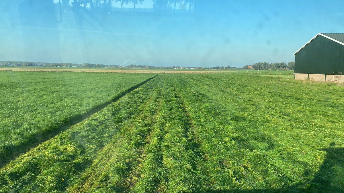 Sander vijverberg tweet media