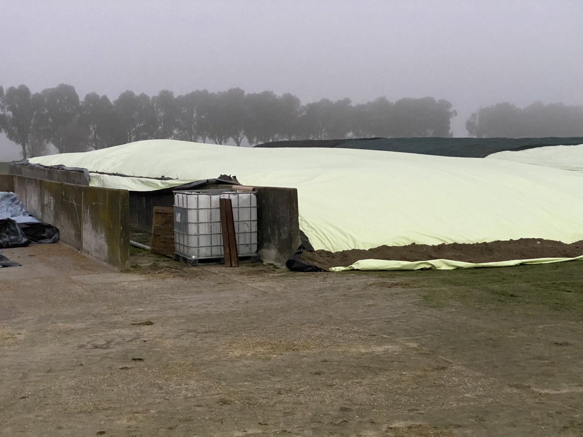 Sander vijverberg tweet media