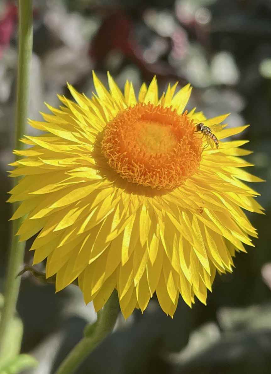 Sieh dir die Geschichte von Kendall Belcher an!