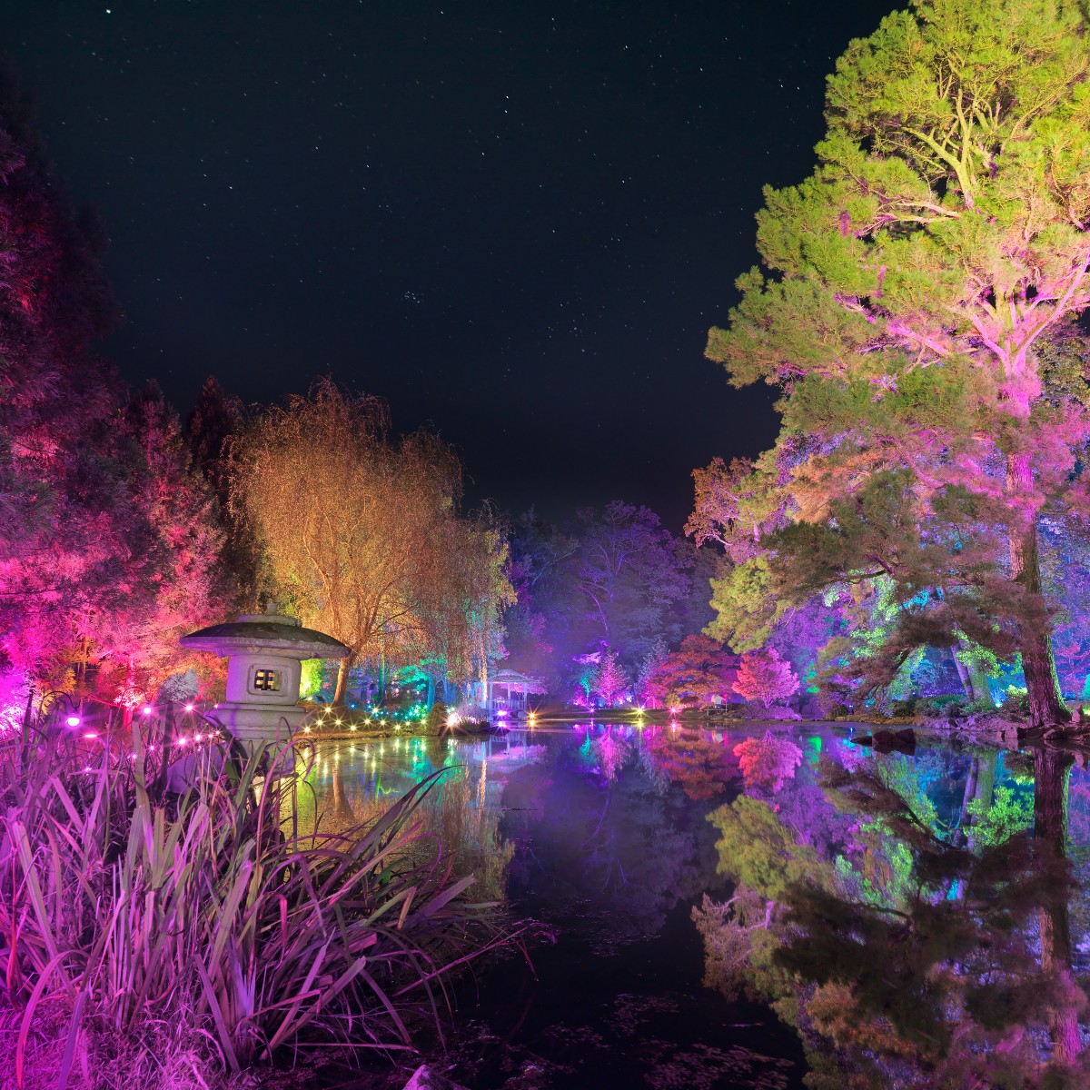 🏮✨ It's the FINAL WEEK of Garden Glow presented by Kroger!

Wear comfy shoes &amp; warm layers to walk the trails lit with vivid colors, transformative lighting, &amp; light sculptures from around the world.

Get tickets before they sell out: maymont.org/gardenglow

📷 James Loving