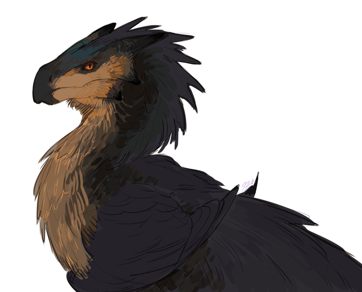 Cloud_yaa's tweet image. melanistic seikret to go along. drawing color mutations is fun