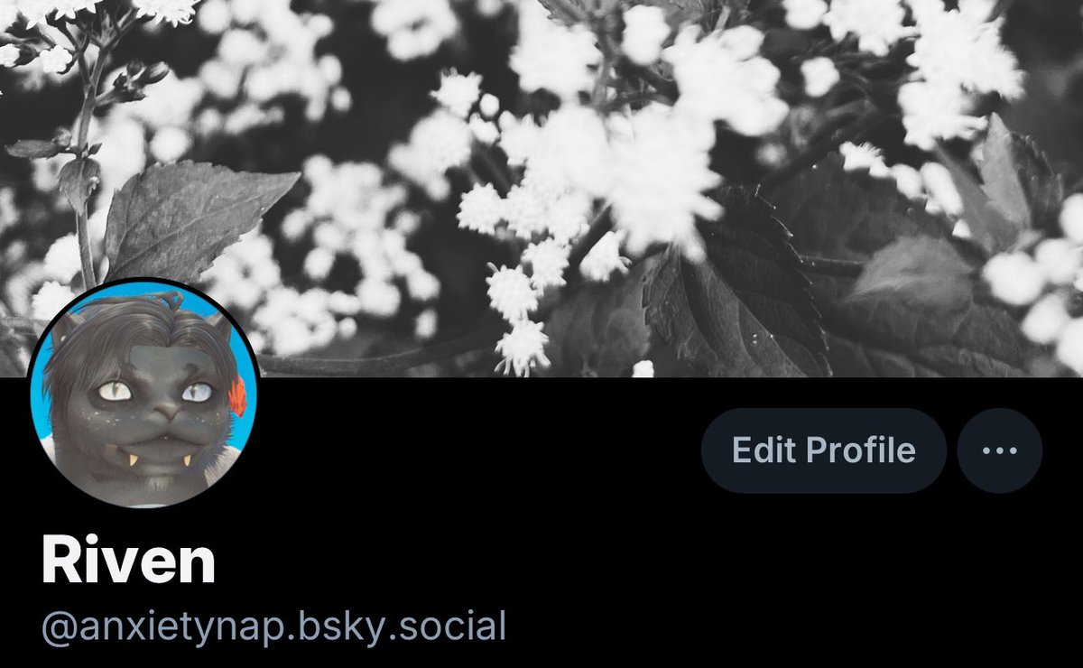 Pushing again my 🦋 account
Trying to move off this place