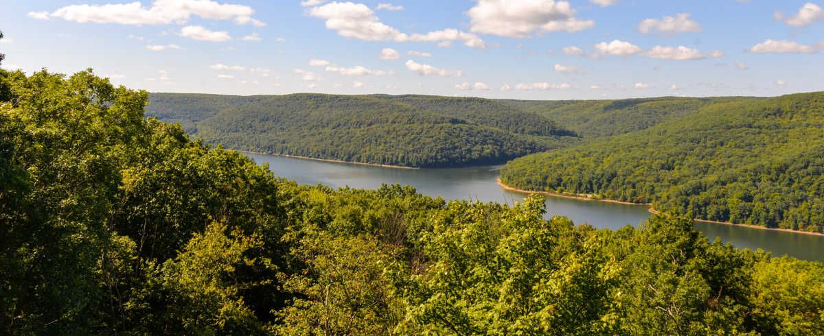 Appalachia's Hardwood Industry In Peril, Says WSJ: buff.ly/3YBpmaW 

#Hardwood #Hardwoods #Trade #EUDR