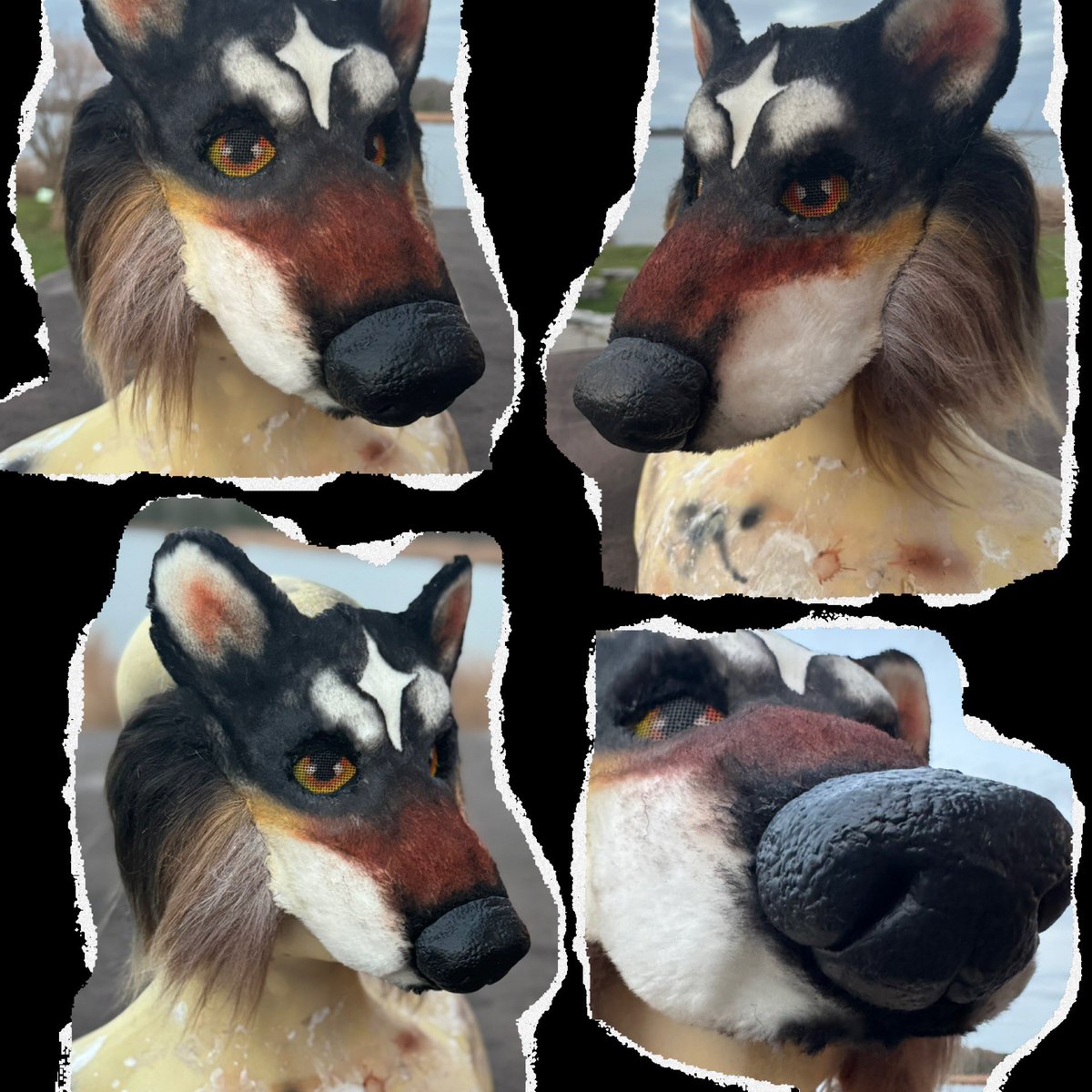 wuffbites's tweet photo. Doing a feeler for my masks. This would be you pick any animal and I will make it for you, I have a canid base right now with long cheek fur and orange/yellow eyes. I can do fox/coyote/wolf or any canid. 170 usd (repost from 💙) https://t.co/FGbSR5AzxW