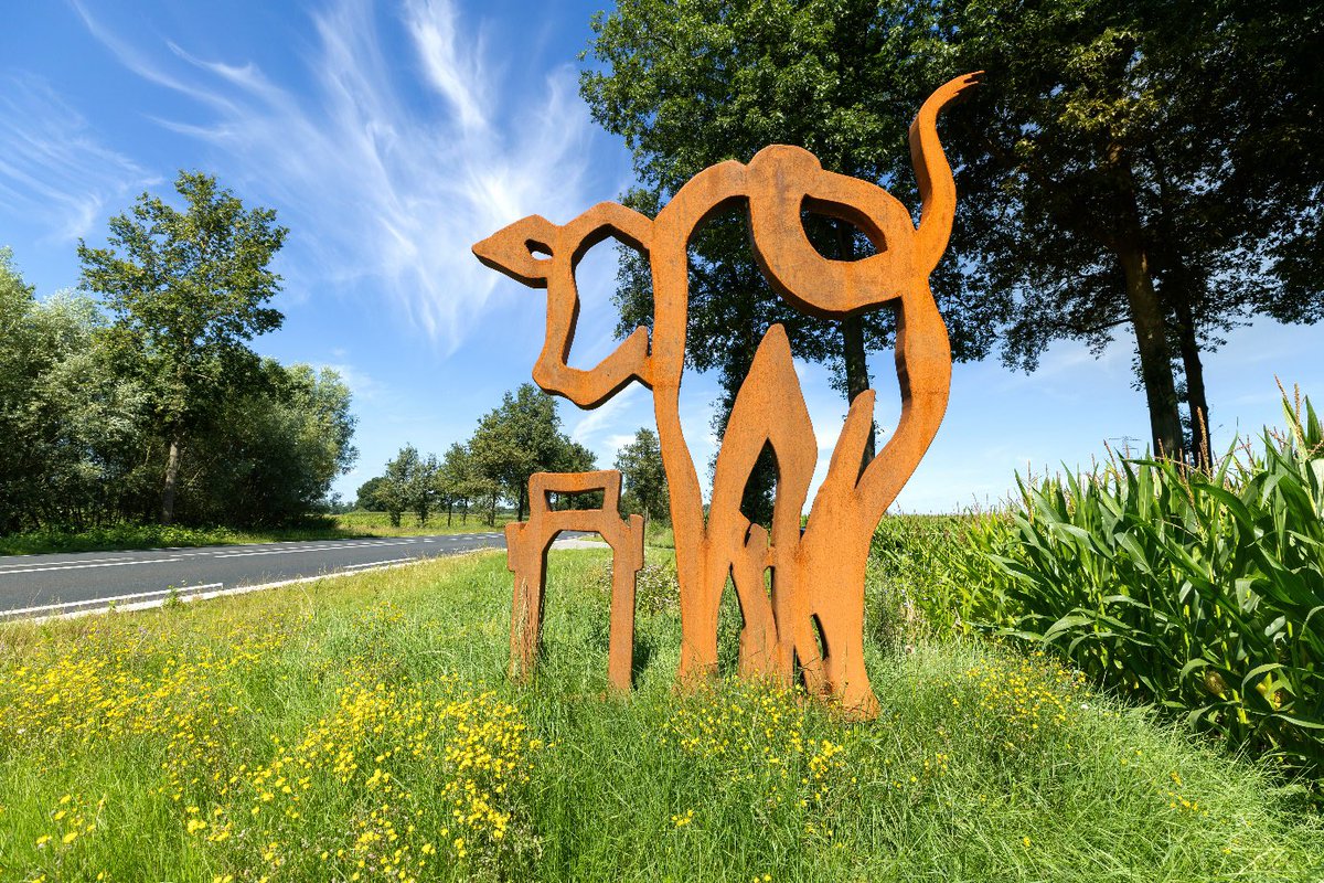 Gelderse prijs voor de Ruimtelijke Kwaliteit: Stem op de Nettelhorsterweg nieuwsuitberkelland.nl/2024/11/gelder…