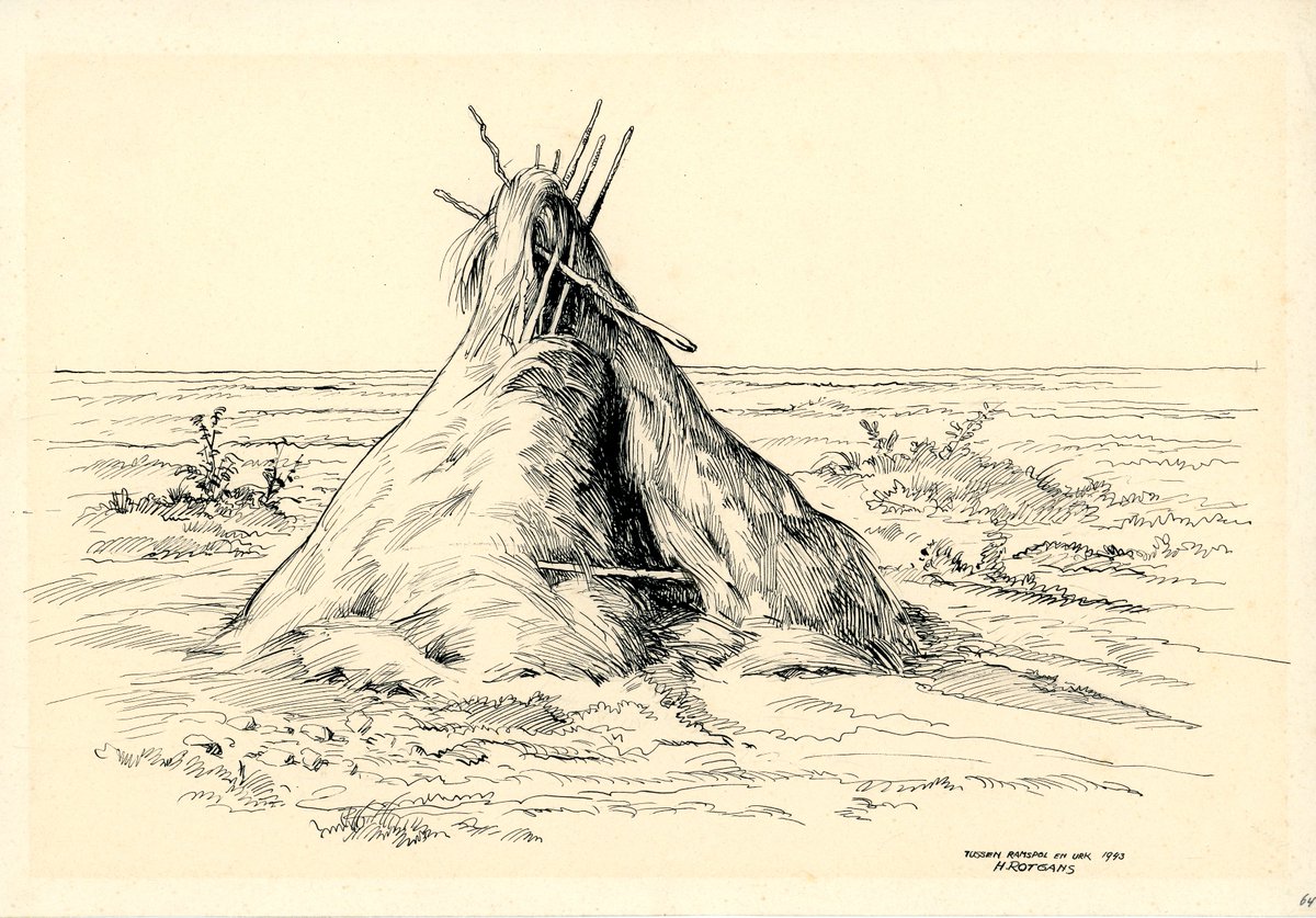 Henk Rotgans tekende tijdens de oorlog het in cultuur brengen van de Noordoostpolder. De polder was woest en leeg, afgezien van enkele barakkenkampen. In hooibergen waren provisorische schuilplaatsen gemaakt. 

Mijn opa was één van de polderarbeiders: ajbaarssen.com/2024/11/06/jan…