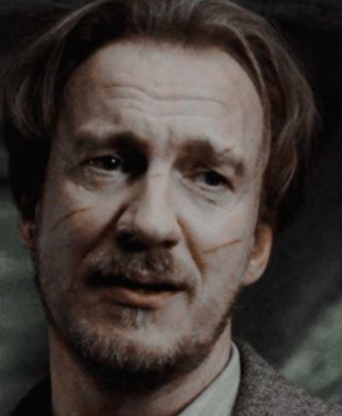 #remuslupin💚 #davidthewlis❤️ #moony🧡 #HarryPotter