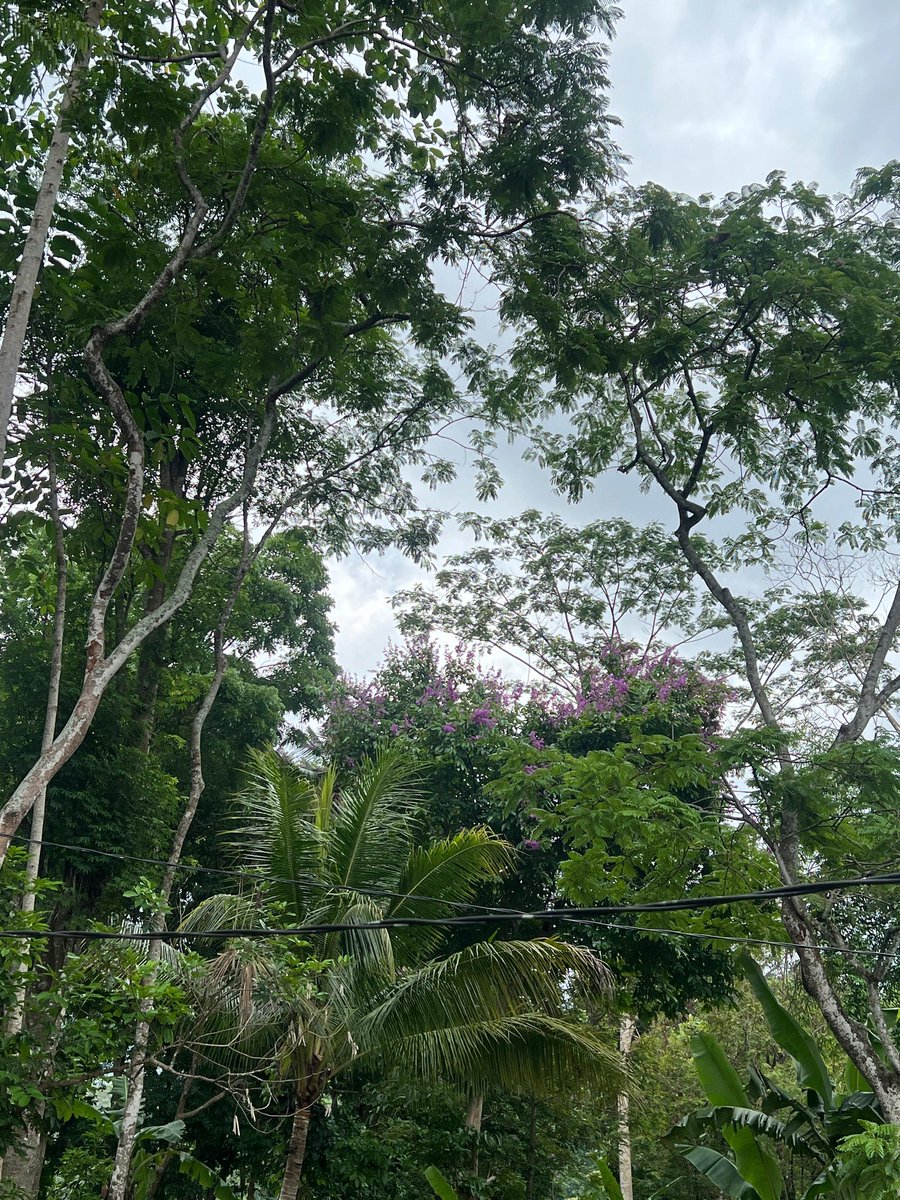 struggleaze's tweet image. life recently ‧₊˚❀༉‧₊˚. 
#azakaprogress. 🪞