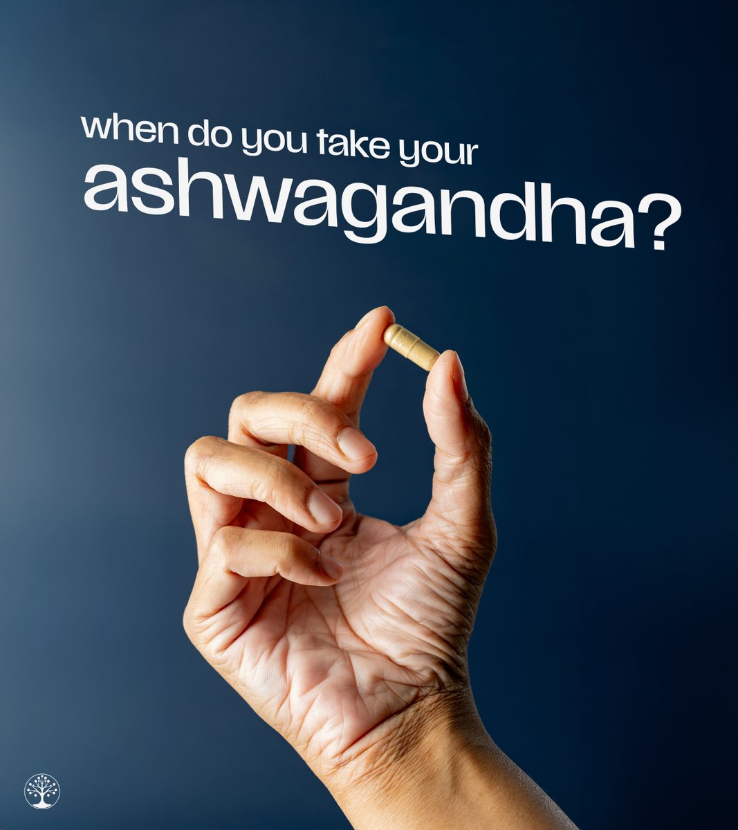 SocotraHealth's tweet photo. Morning, afternoon, or evening—when’s your Ashwagandha time?

#wellness #lifestyle #Health https://t.co/0XhnBZGSpa