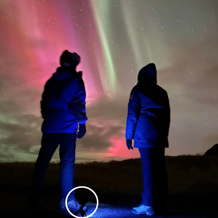glowstonetech's tweet photo. Stunning Northern Lights "The people would just be in darkness, but using the edge lighting feature gives you just enough light to illuminate the people and not wash out the image of the northern lights" Glowstone is great for night time adventures!

Thanks for the photo Tim! https://t.co/yMItyrUZ0L