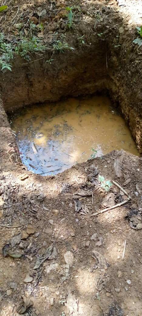 SOLJECA's tweet photo. Daño ecológico contaminación aguas con excremento tala indiscriminada cochinera invasión desforestación y no hay quien pare esto urbanización El Encanto los Teques los vecinos denuncian desde 2021 no respuesta @TarekWiliamSaab pedimos desalojo son nuestras áreas comunes bosque https://t.co/C4bF0upHBu