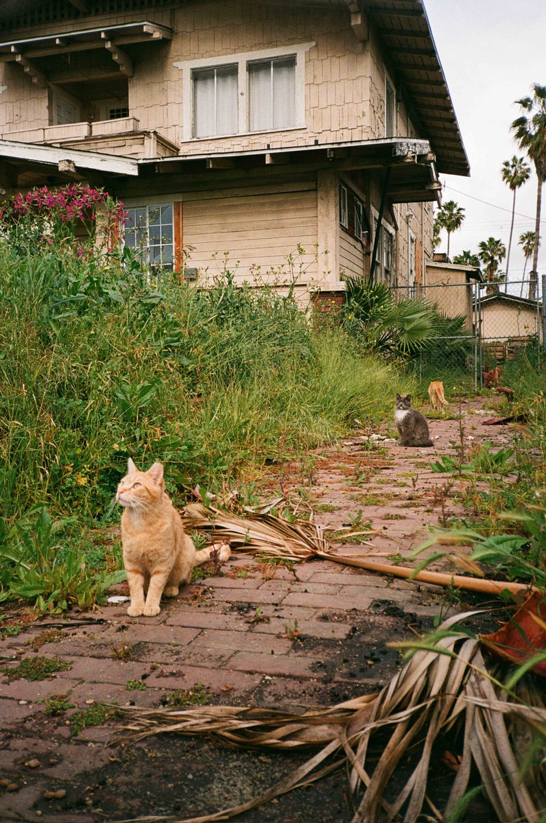 Marikachu tweet media