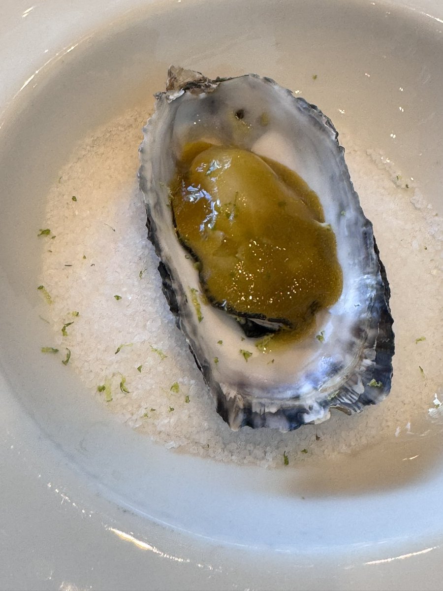 𝐏𝐚𝐜𝐨 𝐁𝐞𝐜𝐞𝐫𝐫𝐨 (𝐏𝐚𝐤𝐮𝐬) tweet media