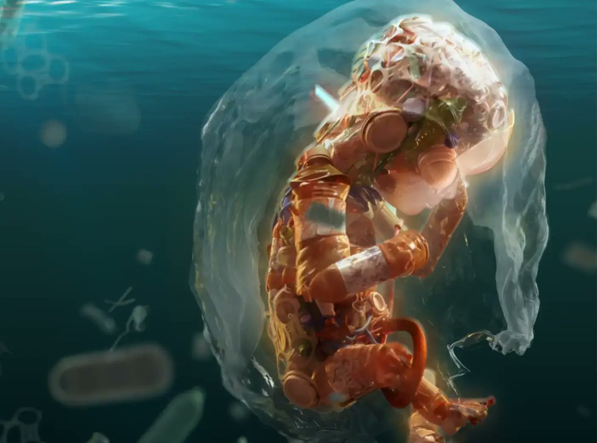 Marite Ferrada tweet media