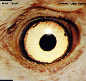 JoyJoyfuljag's tweet photo. #1999Top20 #BackwardsAlphabetical #ReleasedOrChartingInUSIn1999
20. She's So High - Tal Bachman
19. Desert Rose - Sting Feat. Cheb Mami
18. Smooth - Santana Feat. Rob Thomas
17. Livin' La Vida Loca - Ricky Martin
16. Scar Tissue - Red Hot Chili Peppers
https://t.co/ziKgo8V6x2 https://t.co/5XjAcMjBfl