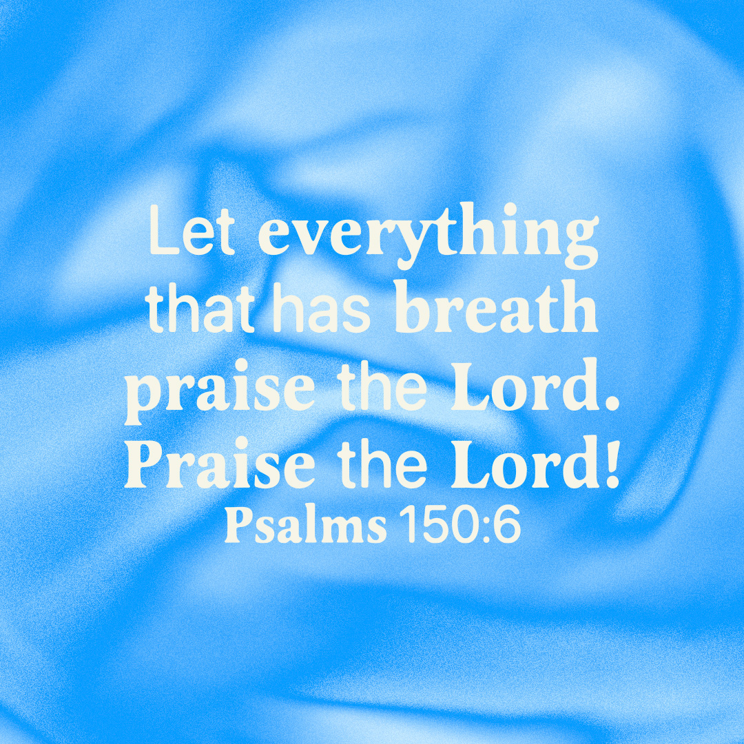#Psalm #Praise #Worship #Sing #Everything #Creation