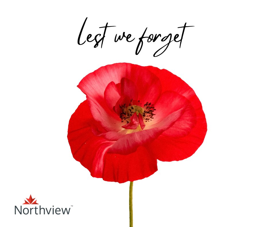 rentnorthview's tweet photo. Our offices are closed Monday, Nov. 11 to mark Remembrance Day. https://t.co/pNX9nRuOmJ