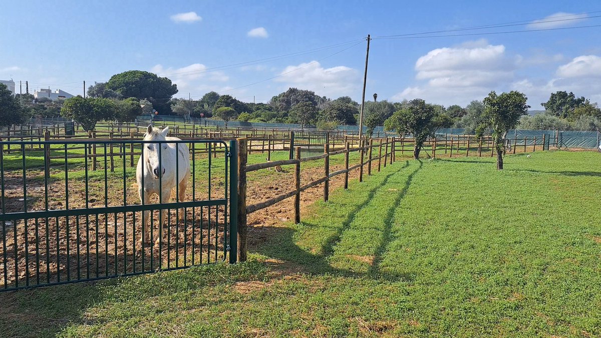 Michiel de Ruyter tweet media