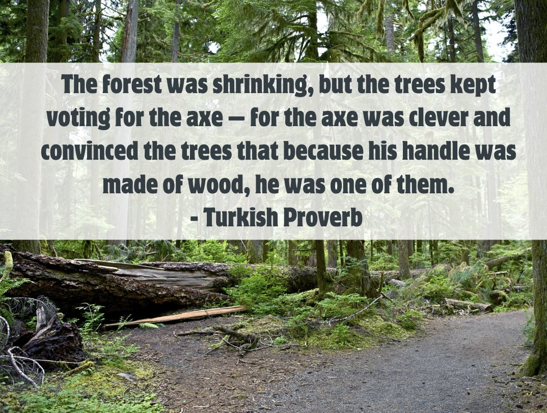 Snarky Squirrel 💙 Democracy! (@squirrelscrambl) on Twitter photo 