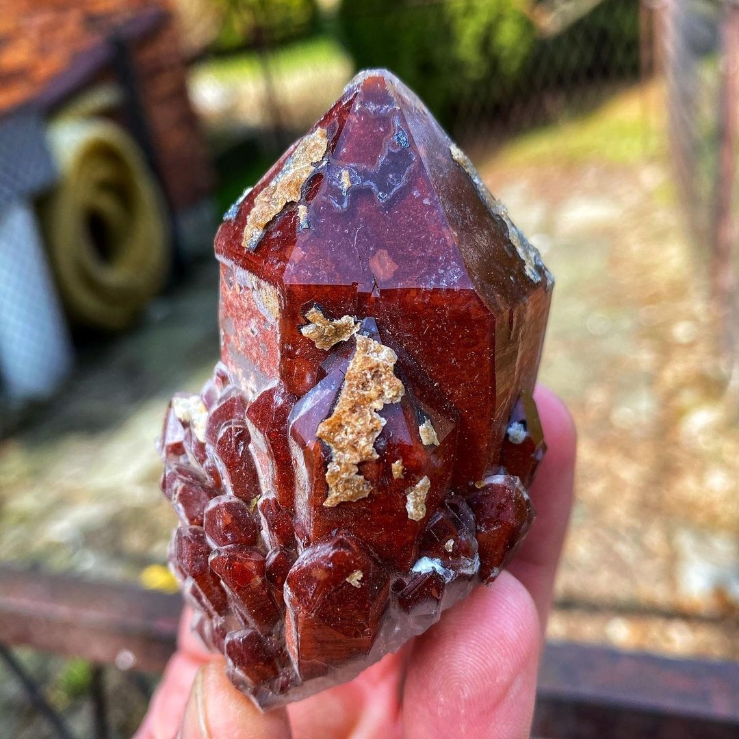 GeologyTime's tweet photo. Absolutely Gorgeous Red Hematite Quartz From Orange River in South Africa.

Photo: 📷 natures_goodz https://t.co/fAcLGbZ6GO