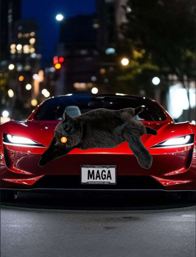 IgorCryptoCat's tweet photo. @ElonMuskOde f it were up to me, I’d go with the red car—gotta make a bold entrance, just like Bitcoin! 🚗💥 https://t.co/gjJybDG6tJ